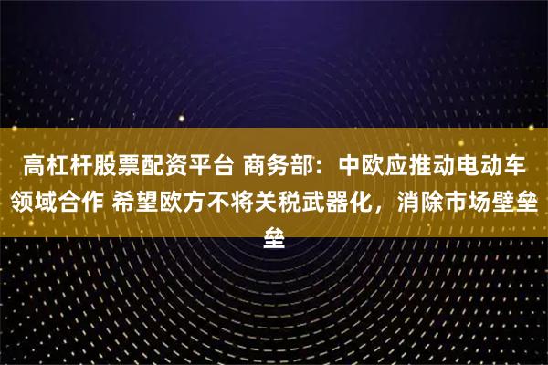 高杠杆股票配资平台 商务部：中欧应推动电动车领域合作 希望欧方不将关税武器化，消除市场壁垒